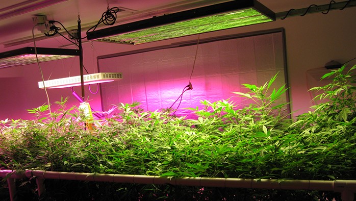 LED grow lighting